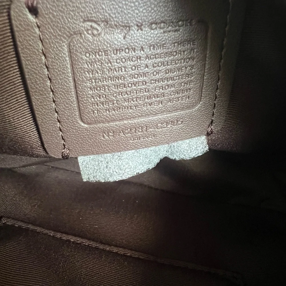 Disney X Coach Mini Bag With Tiana